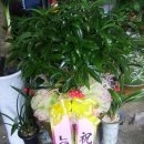 미림화원 이미지