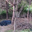 미류네 농장 이미지