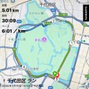 콜 노래방 | D+477~478 제미 - 노래방 - 달리기 - 뮤지컬