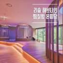 담뜰 | 제천여행 리솜포레스트 해브나인 사우나, 온미당 찜질방 후기