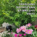 예닮목장 이미지