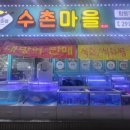 수원 탑동 가성비 좋은 횟집 수촌마을 탑동직영점 내돈내산 후기