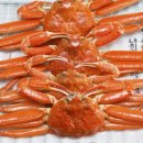 동남호대게 이미지