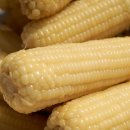 구강목장 이미지