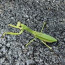 가을은 열매를 맺는 시기 / 아파트 주변 풍경 이미지