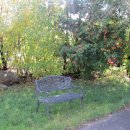 조이네집 이미지