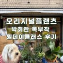플랜츠 | 서울숲 놀거리 오리지널플랜츠 추천 후기, 박쥐란 목부작 수업이 무료라고?