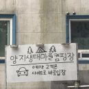 양지생태마을캠핑장 | 대구근교 캠핑장 추천 거창 양지생태마을캠핑장, 캠린이 가족 첫캠핑 성공