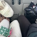 [삿포로6탄] 마이리얼트립 라쿠투어, 비에이 버스투어 / 준페이 도시락 내돈내산 후기