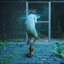 휴먼스테이 블루 이미지