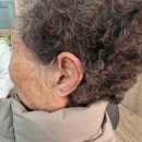 플러스보청기 | 안산보청기 도움이 된 포낙 선물