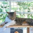 빙그루밍 이미지