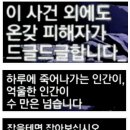 인력천지사무소 이미지