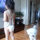예인유치원 이미지