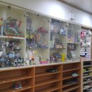 포올체육관 이미지