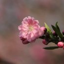 삼성전자주식회사천안사업장 이미지