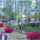 우림2차부동산공인중개사사무소 이미지