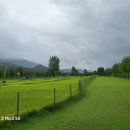 ‘열풍’ 파크골프…“걸으면서 건강도 챙기세요” 이미지