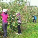 내이랑마을 이미지