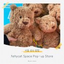 도그 블라썸 | 젤리캣 스페이스 성수 팝업 후기 예약 가격 포토존 꿀팁