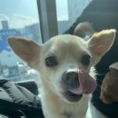 커멍커멍 이미지