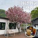 가평 카페 브리드 추천 놀이방 있는 리버뷰 / 시그니처 잣라떼 후기