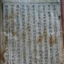김씨족보 이미지