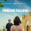영화 파인드미폴링, Find me Falling, 영화후기 리뷰 평저 줄거리 정보 출연진 넷플릭스