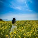 상사_체육공원 | 봄에 떠나기 좋은 남해 가볼만한 여행지 코스 BEST 5