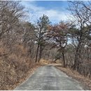 국당2리 이미지