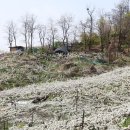 청남공원 이미지