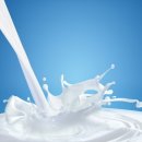 원종 헬스 이미지