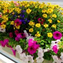 버스정류소_동교동삼거리 이미지