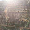 보내농장 이미지