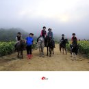 가가홀스 이미지