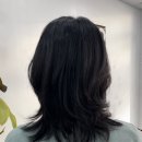 헤어(HAIR).다올 이미지