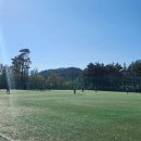장산 축구장 이미지