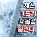 125활인건강(주) 네이버블로그