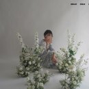[W9.웨딩촬영] 디어제인레이블 조화 센터피스 대여 후기
