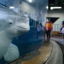 루비빌딩 이미지