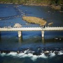 가정역(섬진강출렁다리) 이미지