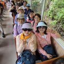 강촌 상상역 이미지