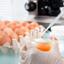 경영기업(주) | [인증후기] 세양(주), ISO 45001 심사! 계란 가공식품의 '삼성'다운 안전 경영의 현장