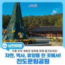 운림삼별초공원(한옥체험1) | [전남 캠핑추천] 자연, 역사, 휴양을 한 곳에서! 진도운림공원