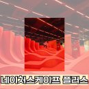 키즈풀숲 | 네이처스케이프 플러스 경기도 화성 실내 놀거리 동탄 키즈카페