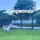 펫마트 강아지 논산점 | 홍천 소노펫 편의시설 이용후기 (플레이그라운드, 유모차대여, 강아지호텔링 편의점 등)