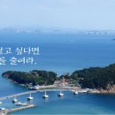 호룡곡산 구름다리 이미지