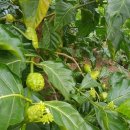 이경하농장 이미지