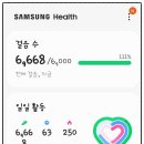 포항스파이더클럽 이미지
