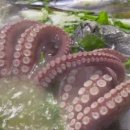 과천해신탕맛집점